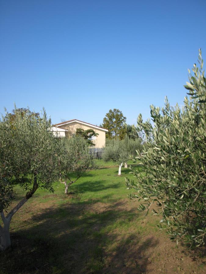 Διαμέρισμα παληοκτημα - Palioktima 2 *